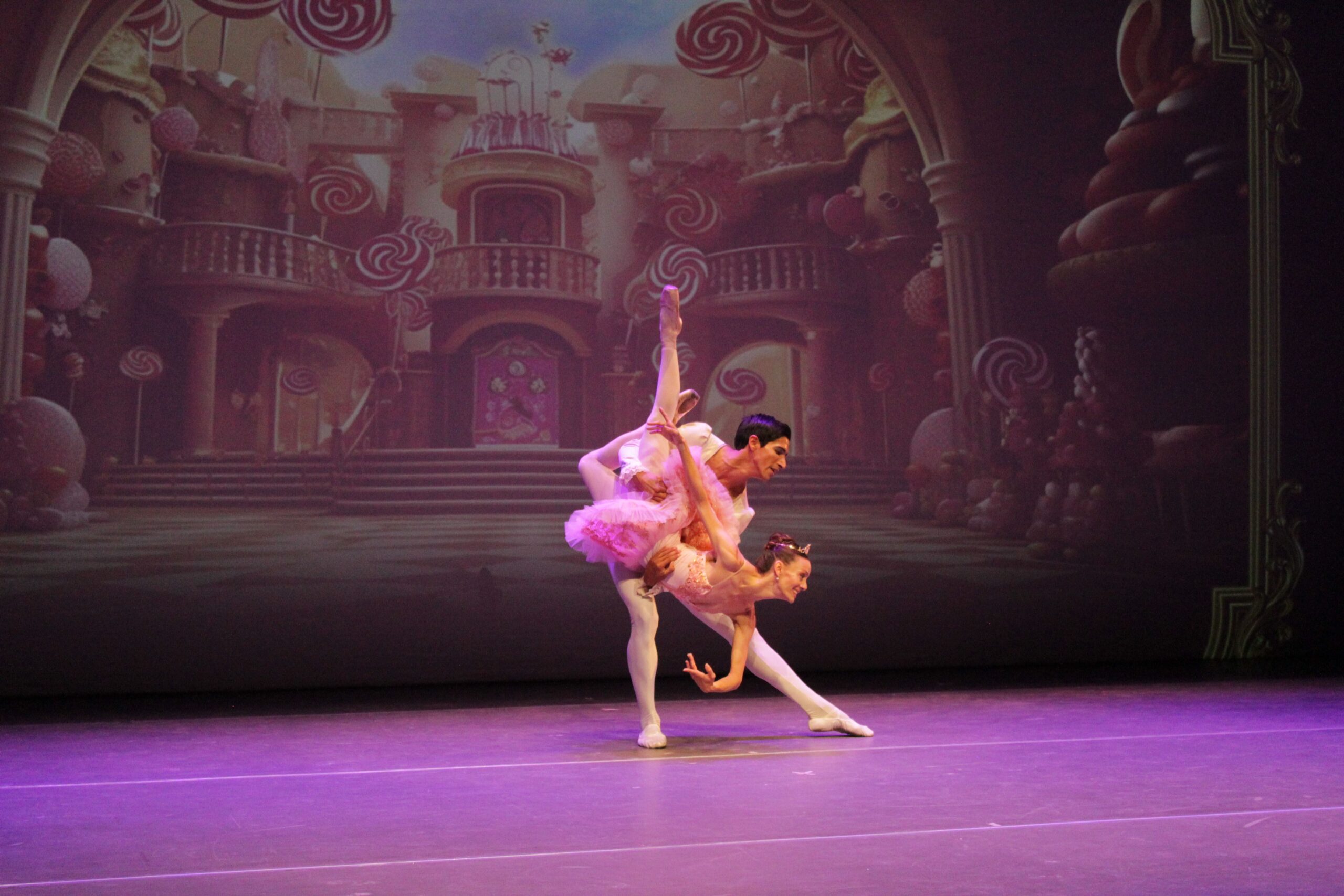 Copia de IMG_5559